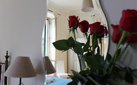 Abaco Bed & Breakfast Acomodação Com Café Da Manhã